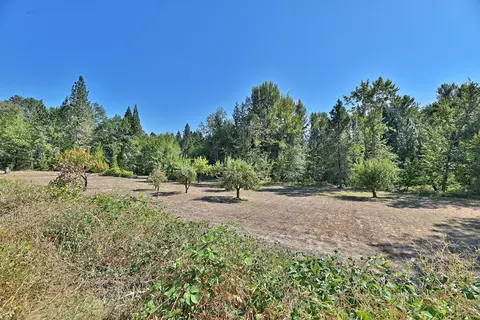 1040 Garner Rd, Cave Junction, OR 97523 photo 38