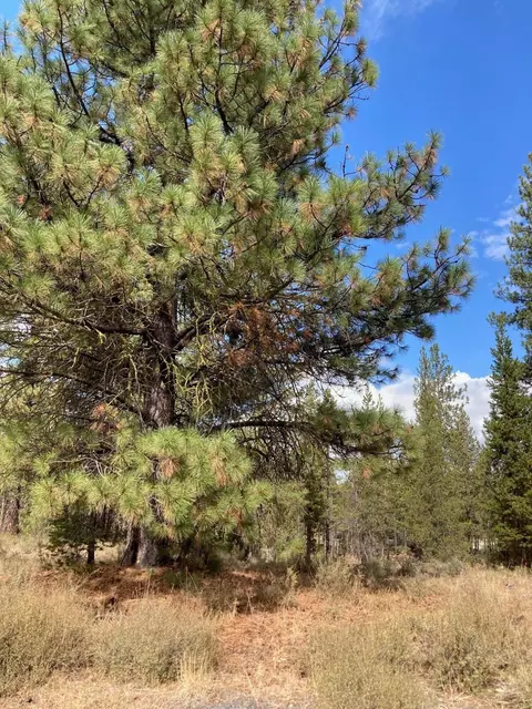 16534 Beaver Dr, Bend, OR 97707 photo 7