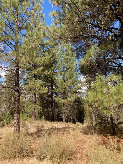 16534 Beaver Dr, Bend, OR 97707 photo 8