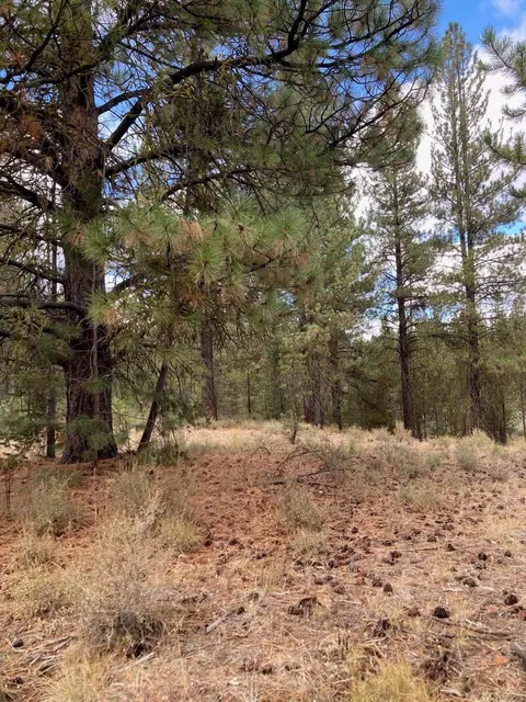 16534 Beaver Dr, Bend, OR 97707 photo 2