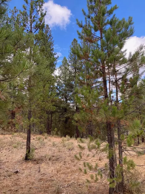 16534 Beaver Dr, Bend, OR 97707 photo 3