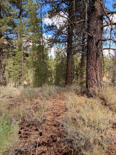16534 Beaver Dr, Bend, OR 97707 photo 10