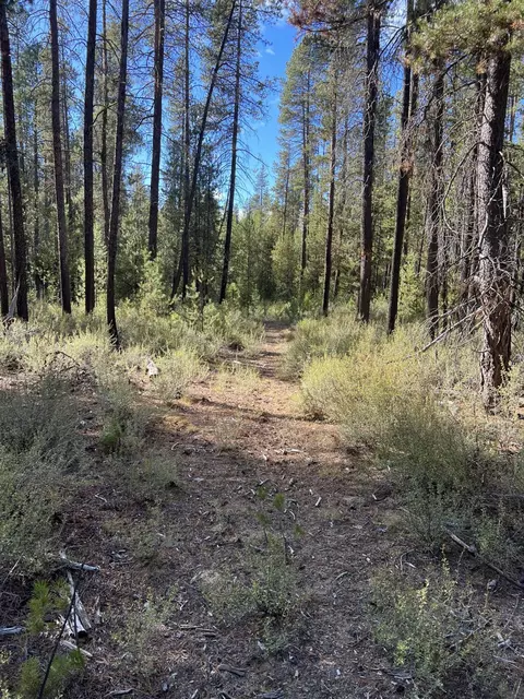 1300 Circle Bar Dr, La Pine, OR 97739 photo 8