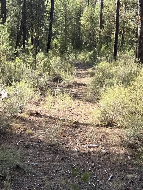 1300 Circle Bar Dr, La Pine, OR 97739 photo 9