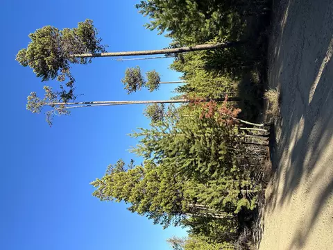 Lot 15 Cruikshank, Crescent Lake, OR 97733