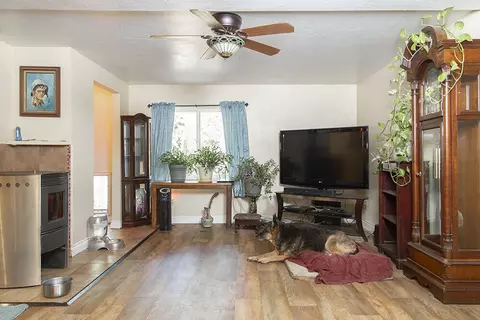 880 E Fork Rd, Williams, OR 97544 photo 10