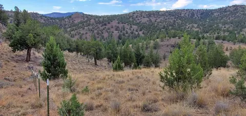 Tl 802 SE Doubtful Dirt Road, Prineville, OR 97754