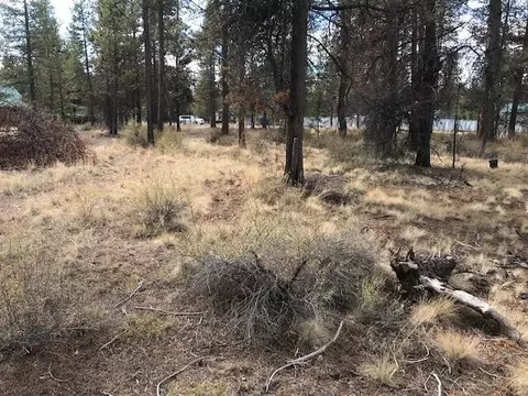 52750 Murry Dr, La Pine, OR 97739 photo 7