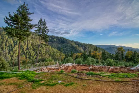 8384 Poorman Creek Rd, Wolf Creek, OR 97497