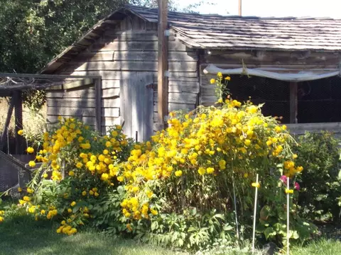 64325 Tyler Rd, Bend, OR 97703 photo 51