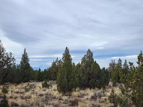 0 Beech Ln #32003300, Prineville, OR 97754