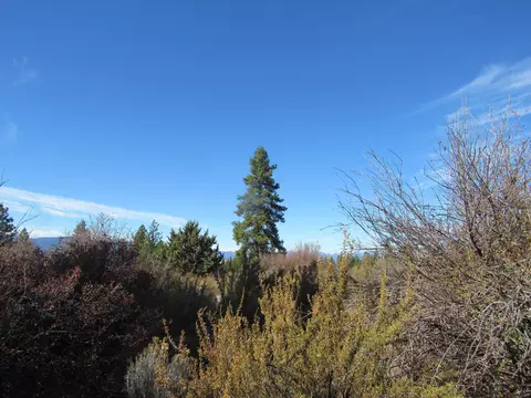 ranch rd road, Chiloquin, OR 97624 photo 4