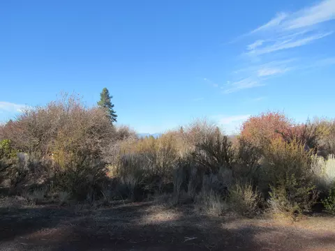 ranch rd road, Chiloquin, OR 97624 photo 6