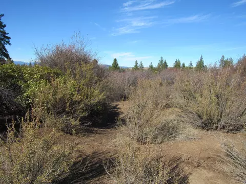 ranch rd road, Chiloquin, OR 97624 photo 2