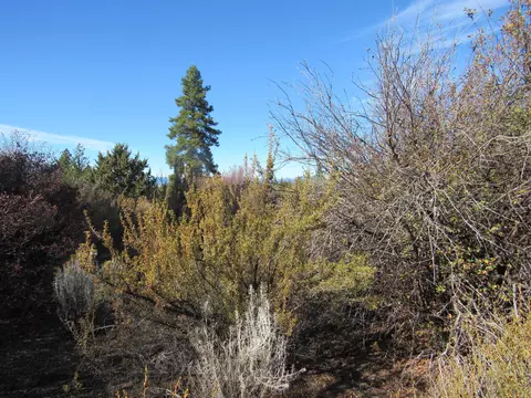 ranch rd road, Chiloquin, OR 97624 photo 3