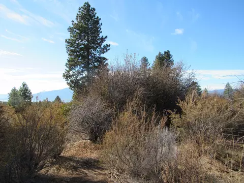 ranch rd road, Chiloquin, OR 97624 photo 5