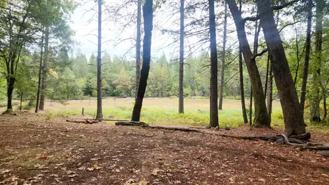 153 Cascade Dr, Cave Junction, OR 97523 photo 3