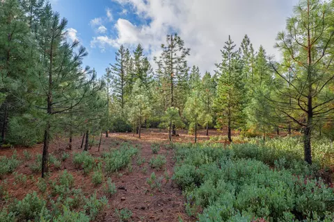 181 Rubin Dr, O'brien, OR 97534 photo 43