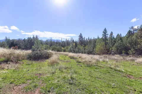 423 Pine Tree Dr, Williams, OR 97544 photo 13