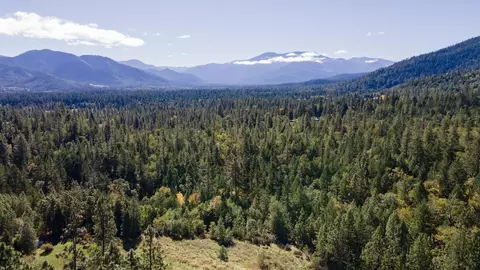 423 Pine Tree Dr, Williams, OR 97544 photo 39