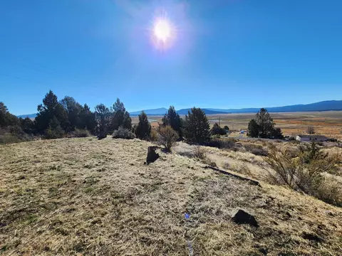 33687 Drews Rd, Sprague River, OR 97639 photo 34
