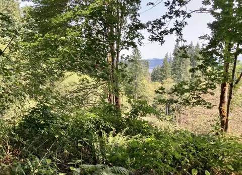 Fern Hill Road, Rainier, OR 97048