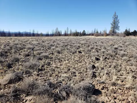 Lot 3n White Fir Way, Bly, OR 97622