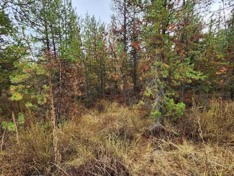 Hwy 97, La Pine, OR 97739 photo 16