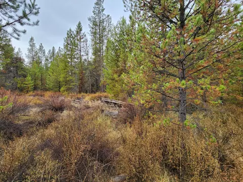 Hwy 97, La Pine, OR 97739 photo 13