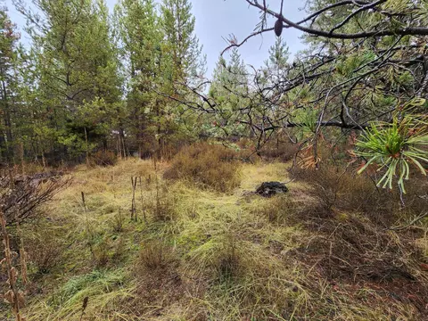 Hwy 97, La Pine, OR 97739 photo 6