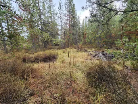 Hwy 97, La Pine, OR 97739 photo 4