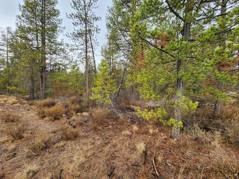 Hwy 97, La Pine, OR 97739 photo 8
