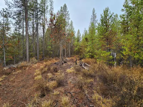 Hwy 97, La Pine, OR 97739 photo 2