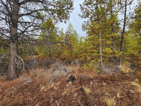 Hwy 97, La Pine, OR 97739 photo 9