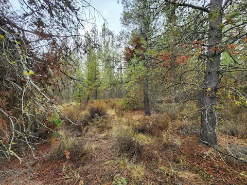 Hwy 97, La Pine, OR 97739 photo 7
