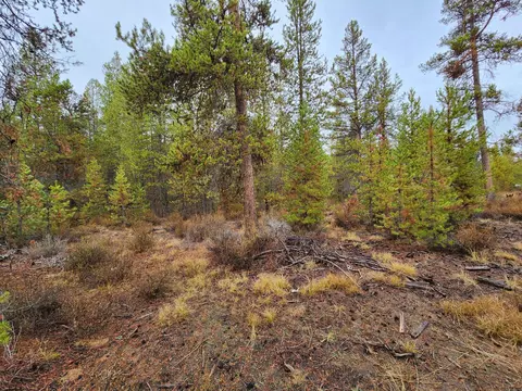 Hwy 97, La Pine, OR 97739 photo 12