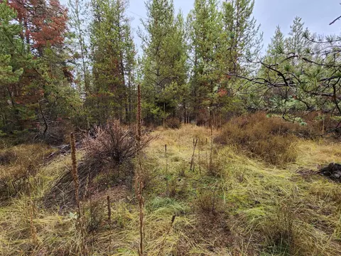 Hwy 97, La Pine, OR 97739 photo 5