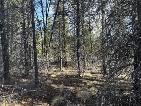 split rail road, La Pine, OR 97739 photo 10