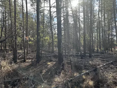 split rail road, La Pine, OR 97739 photo 11