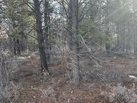 split rail road, La Pine, OR 97739 photo 6