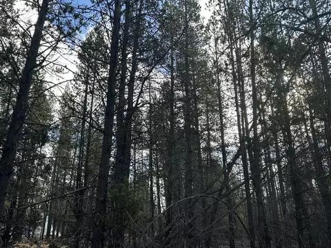 split rail road, La Pine, OR 97739 photo 7