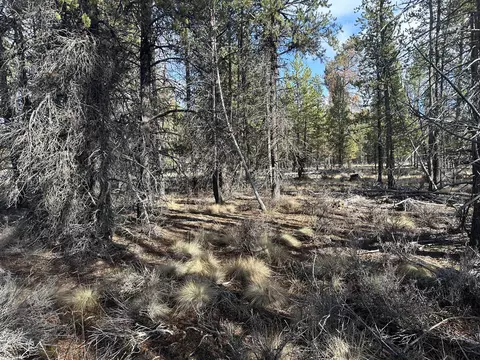 split rail road, La Pine, OR 97739 photo 13
