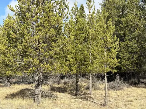 split rail road, La Pine, OR 97739 photo 22