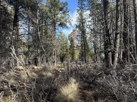 split rail road, La Pine, OR 97739 photo 14