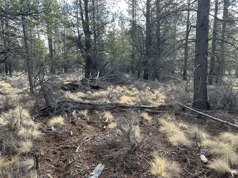split rail road, La Pine, OR 97739 photo 16