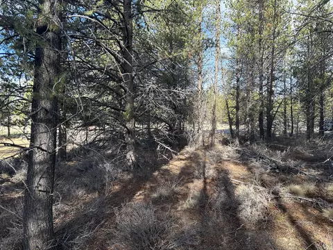 split rail road, La Pine, OR 97739 photo 2