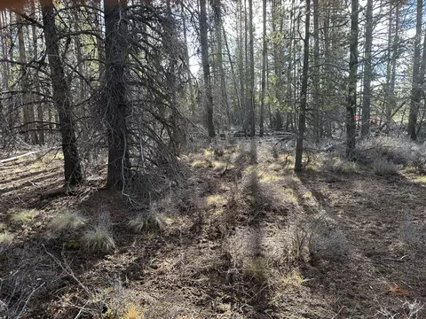 split rail road, La Pine, OR 97739 photo 8