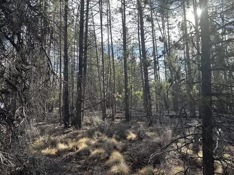 split rail road, La Pine, OR 97739 photo 9