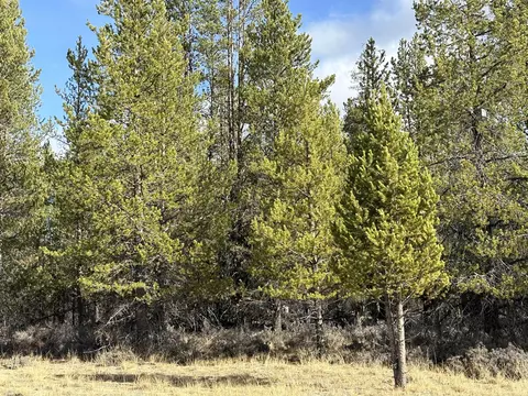 split rail road, La Pine, OR 97739 photo 21
