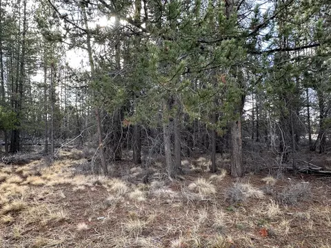split rail road, La Pine, OR 97739 photo 3